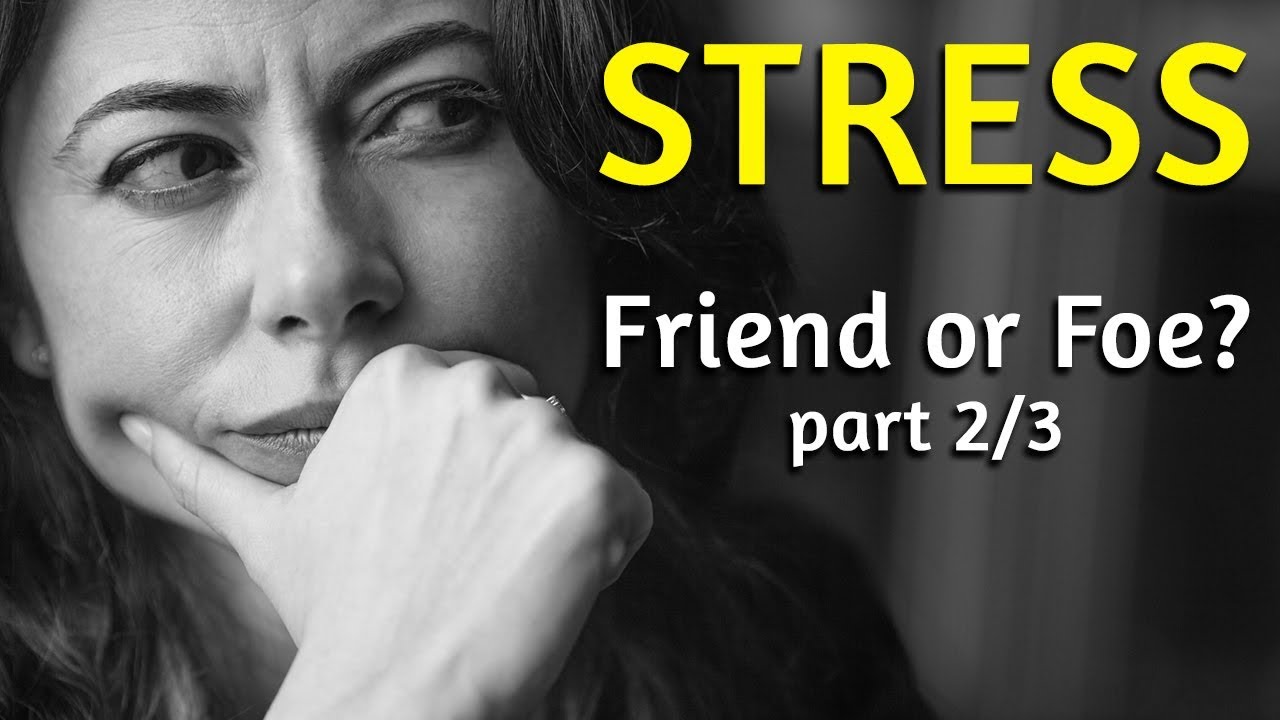 STRESS: Friend or Foe? Part 2/3